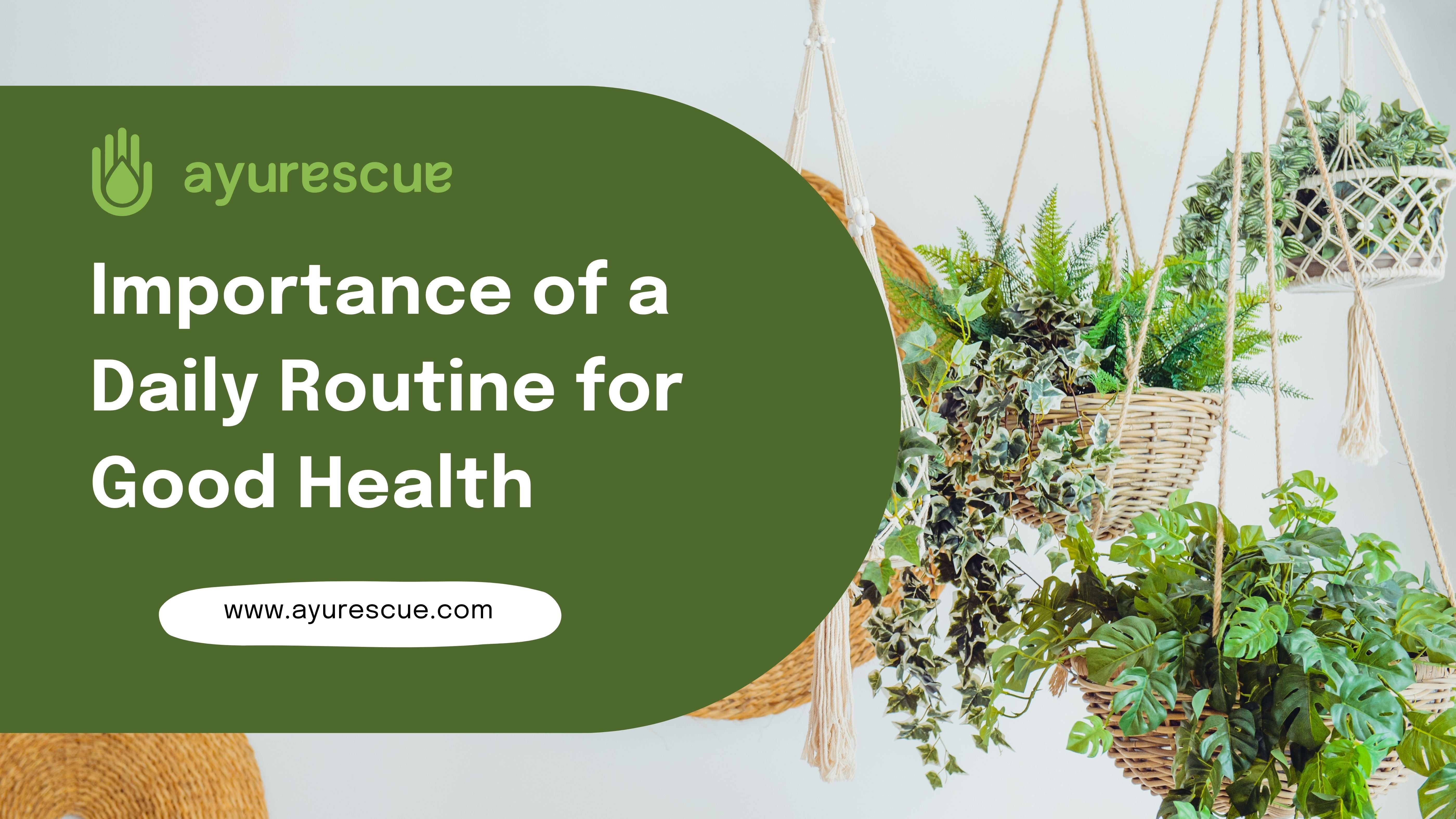Importance of a Daily Routine for Good Health
